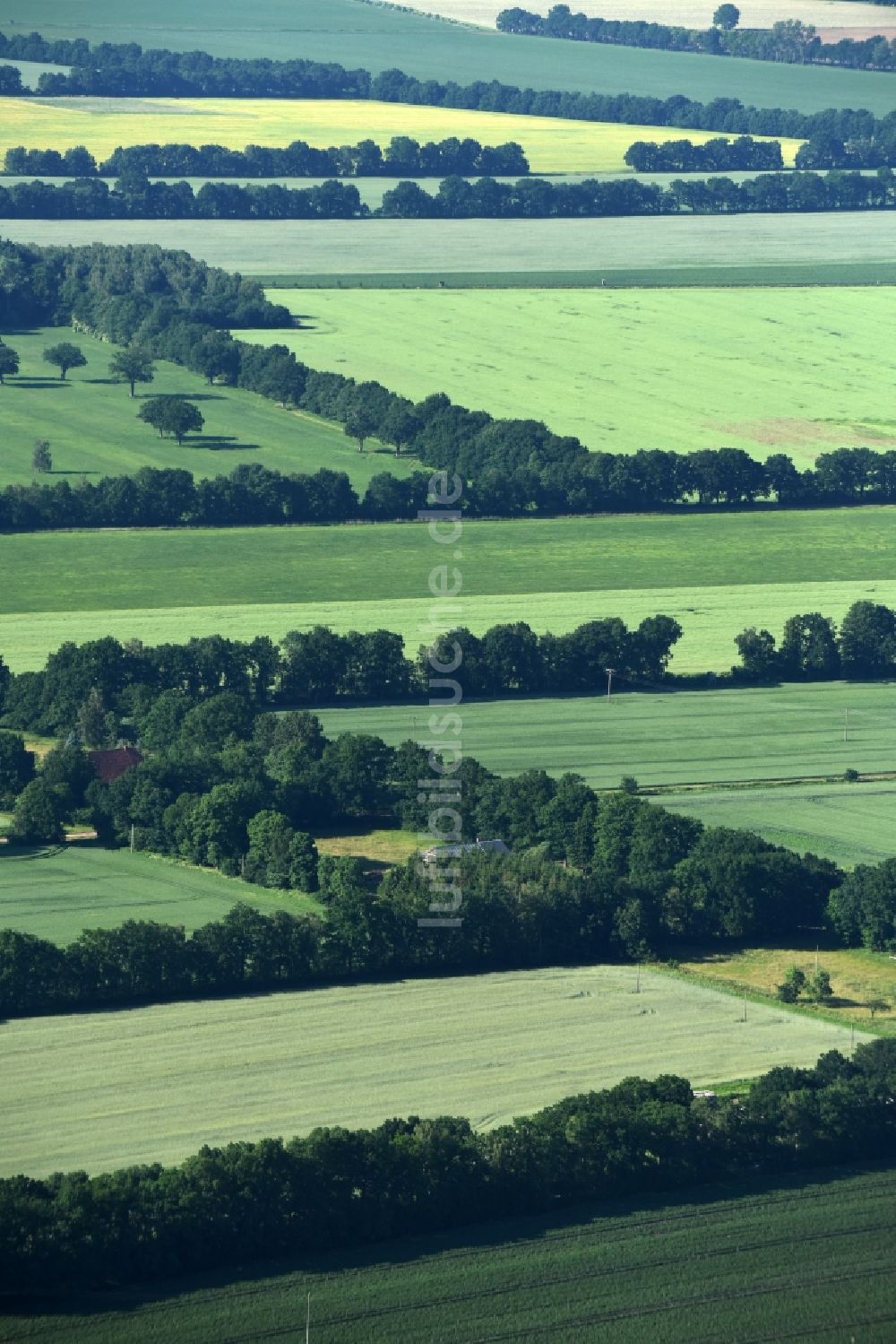 Luftbild Lübtheen - Grasflächen- Strukturen einer Feld- Landschaft in Lübtheen im Bundesland Mecklenburg-Vorpommern