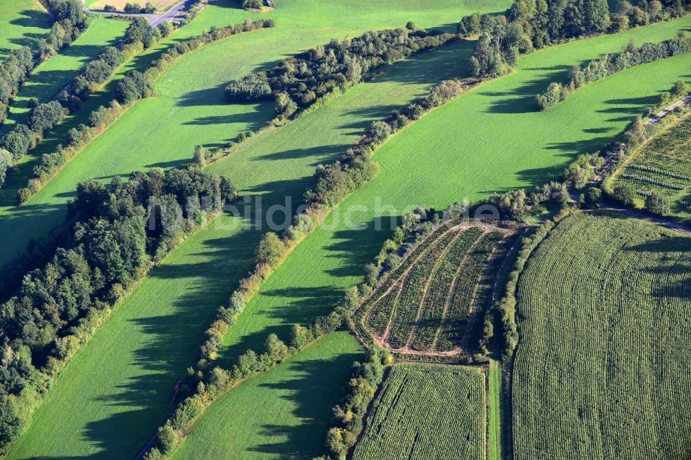 Luftaufnahme Bad Soden-Salmünster - Grasflächen- Strukturen einer Feld- Landschaft in Mernes im Bundesland Hessen