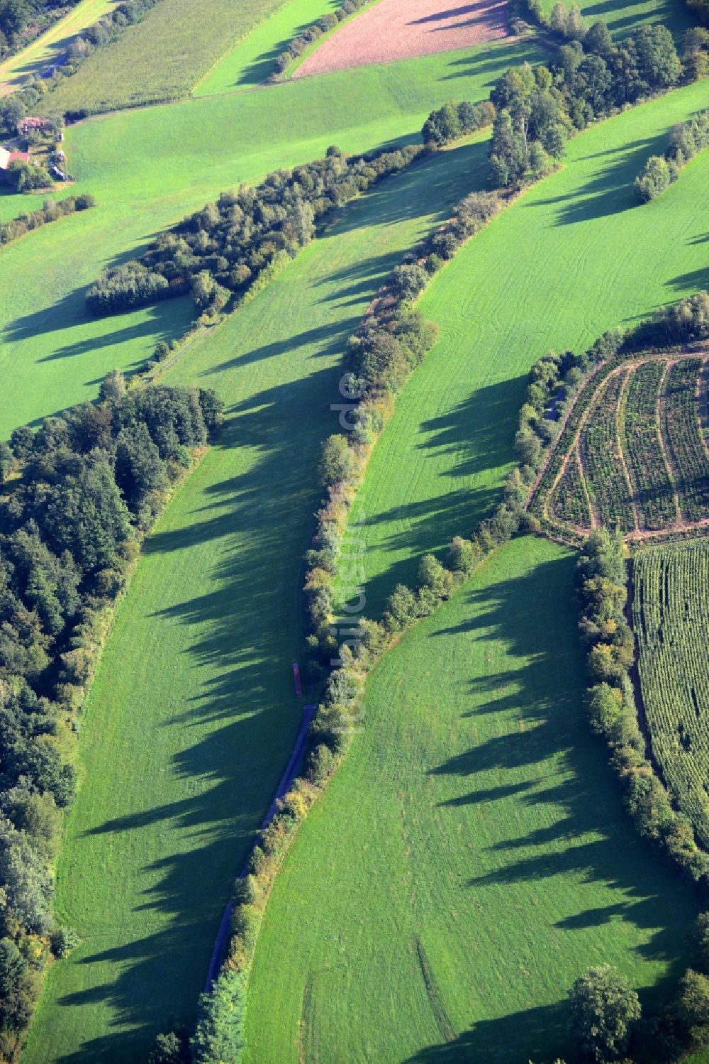 Luftbild Bad Soden-Salmünster - Grasflächen- Strukturen einer Feld- Landschaft in Mernes im Bundesland Hessen