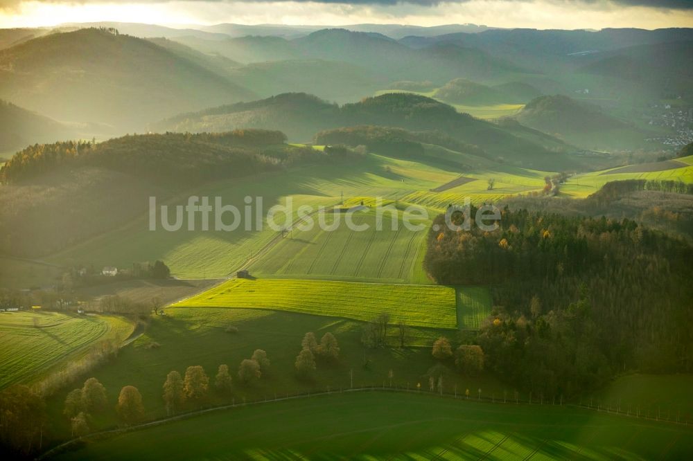 Luftbild Meschede - Grasflächen- Strukturen einer Feld- Landschaft in Meschede im Bundesland Nordrhein-Westfalen, Deutschland