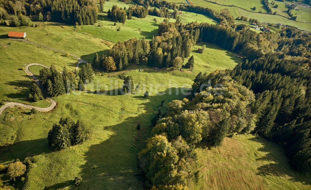 Missen im Allgäu von oben - Grasflächen- Strukturen einer Feld- Landschaft in Missen im Allgäu im Bundesland Bayern, Deutschland