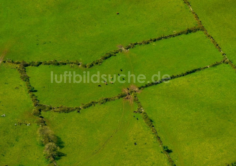 Luftbild Mullaghmore Burren County - Grasflächen- Strukturen einer Feld- Landschaft in Mullaghmore Burren County in Clare, Irland