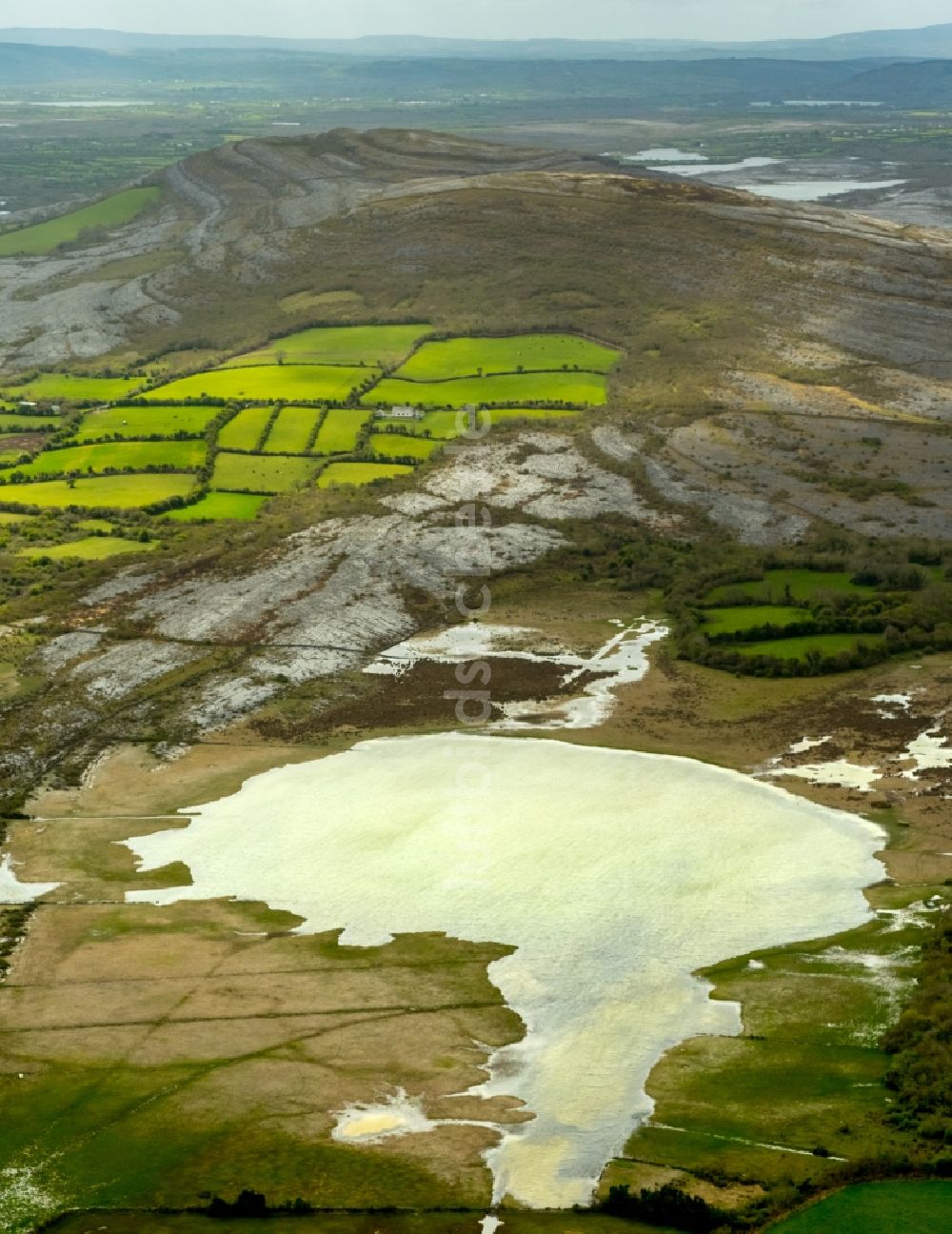 Luftaufnahme Mullaghmore Burren County - Grasflächen- Strukturen einer Feld- Landschaft in Mullaghmore Burren County in Clare, Irland