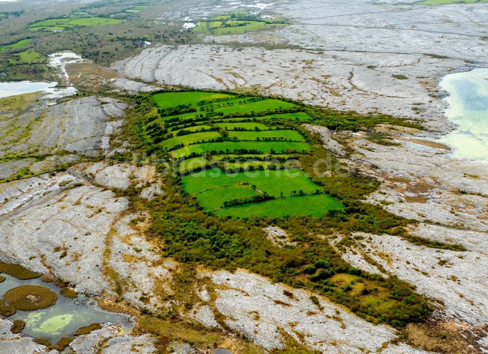 Mullaghmore Burren County aus der Vogelperspektive: Grasflächen- Strukturen einer Feld- Landschaft in Mullaghmore Burren County in Clare, Irland