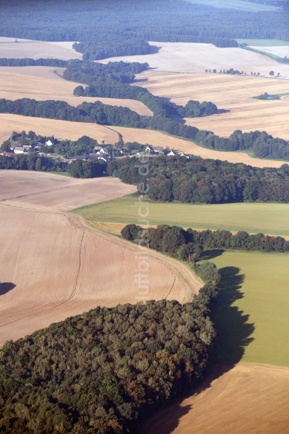 Wüstenhain von oben - Grasflächen- Strukturen einer Feld- Landschaft nahe dem Dorf Wüstenhain im Bundesland Sachsen