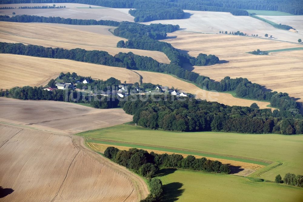 Wüstenhain aus der Vogelperspektive: Grasflächen- Strukturen einer Feld- Landschaft nahe dem Dorf Wüstenhain im Bundesland Sachsen