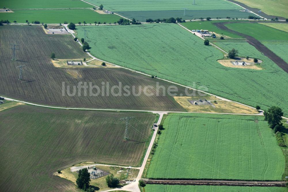 Peißen aus der Vogelperspektive: Grasflächen- Strukturen einer Feld- Landschaft nahe Peißen im Bundesland Sachsen-Anhalt