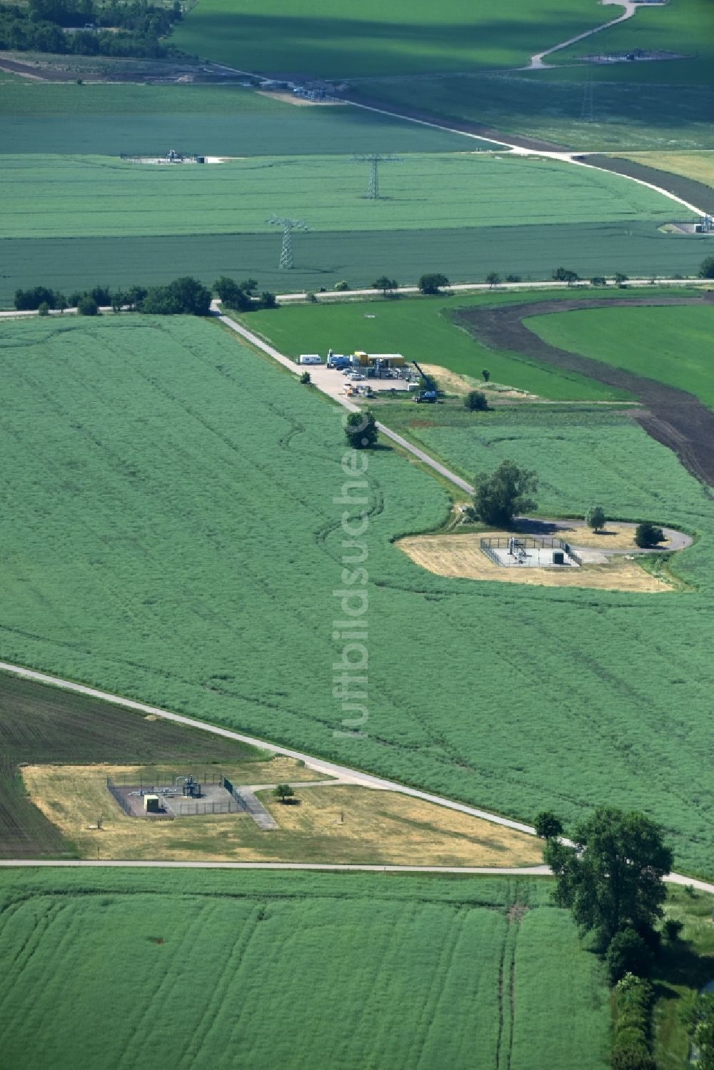 Luftbild Peißen - Grasflächen- Strukturen einer Feld- Landschaft nahe Peißen im Bundesland Sachsen-Anhalt