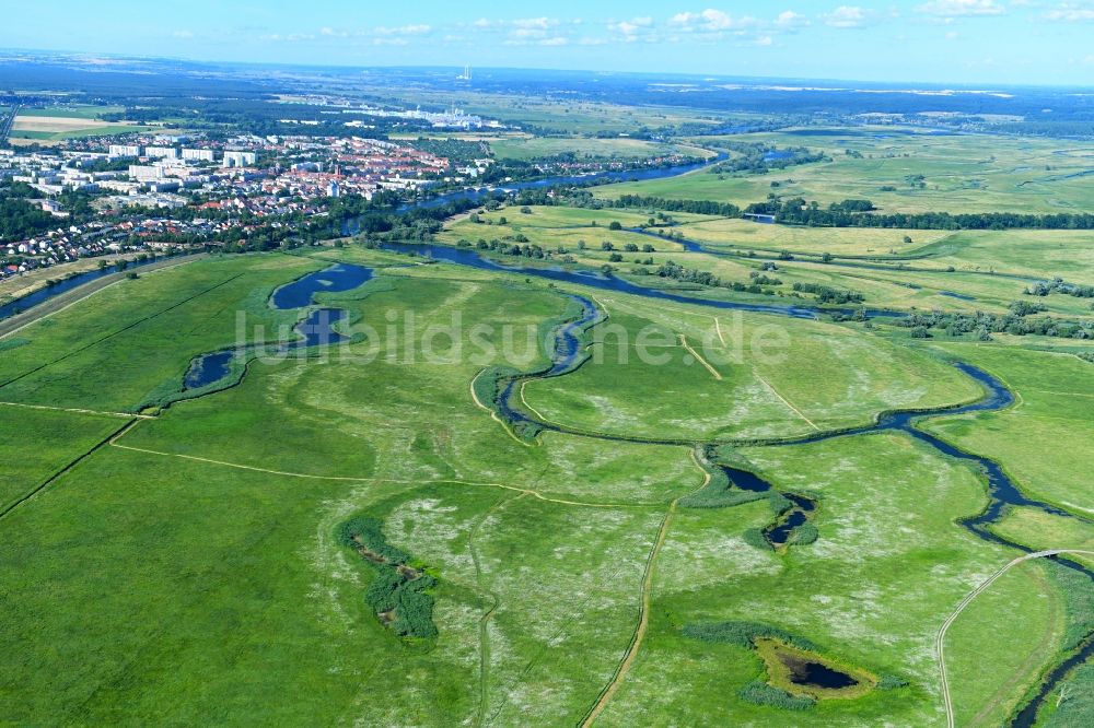 Luftaufnahme Schwedt/Oder - Grasflächen- Strukturen einer Feld- Landschaft des Nationalpark Unteres Odertal in Schwedt/Oder im Bundesland Brandenburg, Deutschland