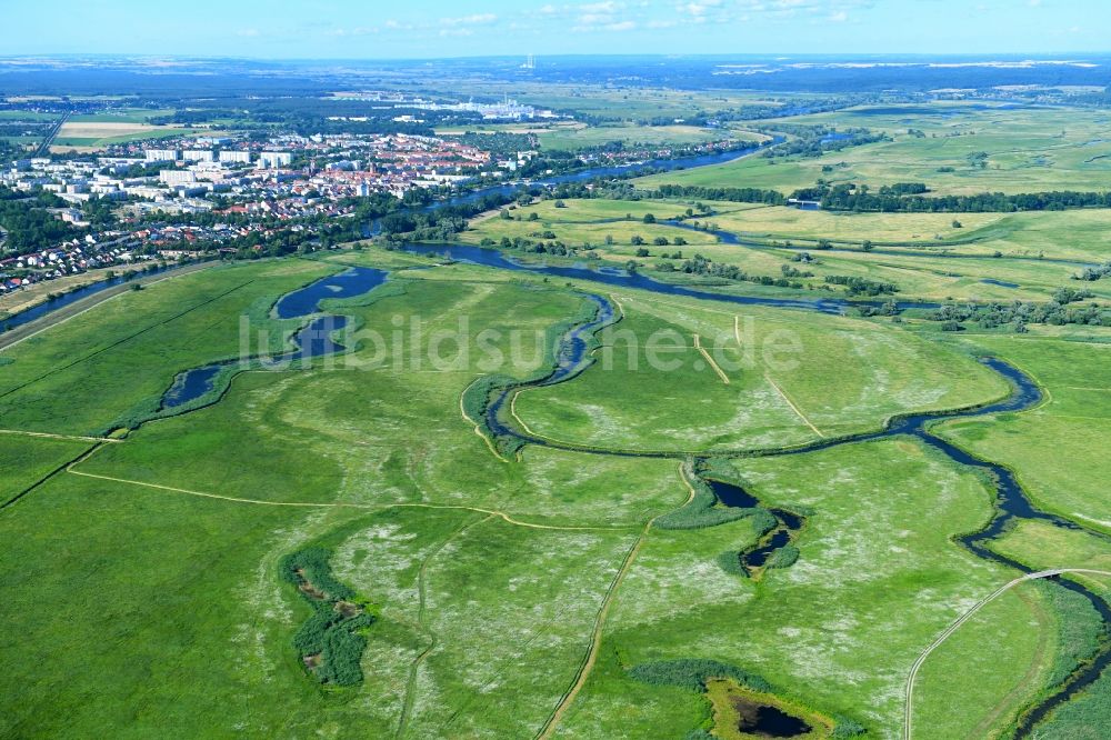 Schwedt/Oder von oben - Grasflächen- Strukturen einer Feld- Landschaft des Nationalpark Unteres Odertal in Schwedt/Oder im Bundesland Brandenburg, Deutschland