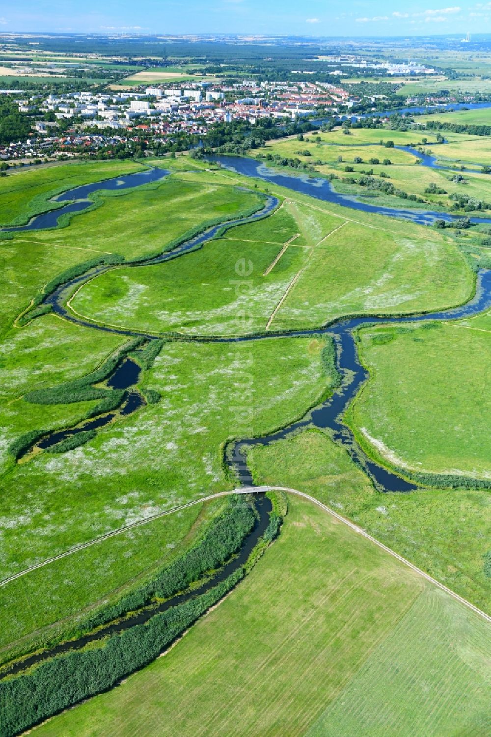 Schwedt/Oder von oben - Grasflächen- Strukturen einer Feld- Landschaft des Nationalpark Unteres Odertal in Schwedt/Oder im Bundesland Brandenburg, Deutschland