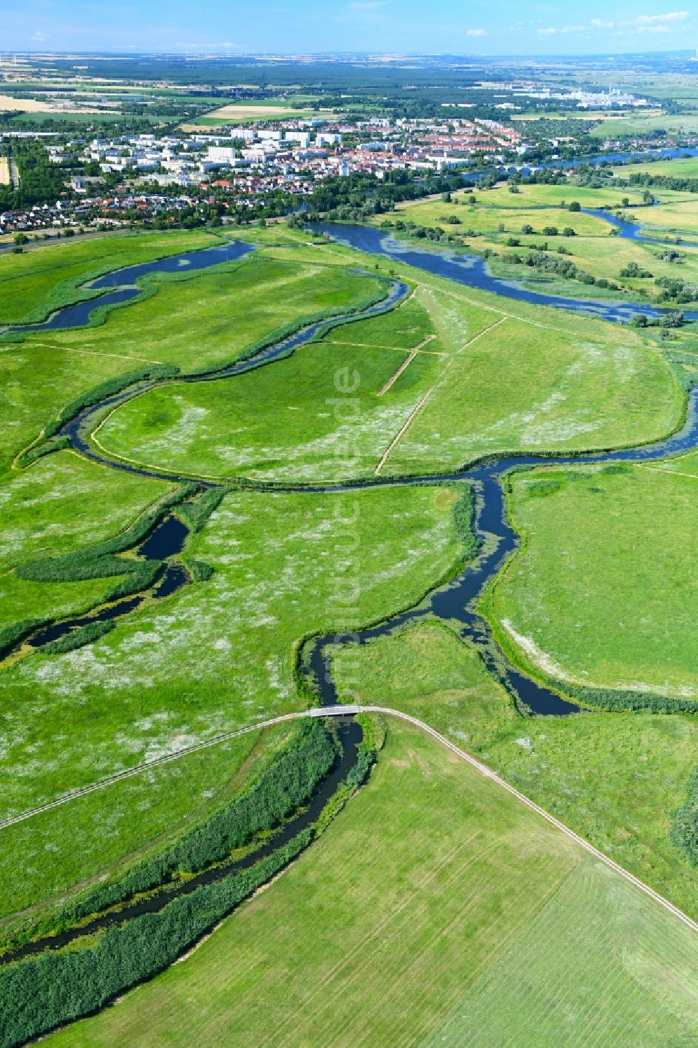 Schwedt/Oder aus der Vogelperspektive: Grasflächen- Strukturen einer Feld- Landschaft des Nationalpark Unteres Odertal in Schwedt/Oder im Bundesland Brandenburg, Deutschland