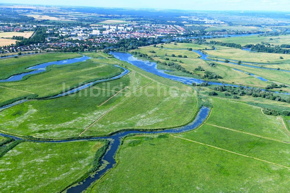 Schwedt/Oder von oben - Grasflächen- Strukturen einer Feld- Landschaft des Nationalpark Unteres Odertal in Schwedt/Oder im Bundesland Brandenburg, Deutschland