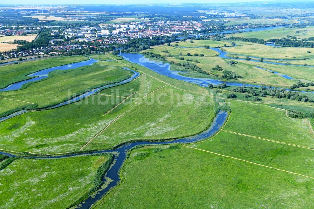 Schwedt/Oder aus der Vogelperspektive: Grasflächen- Strukturen einer Feld- Landschaft des Nationalpark Unteres Odertal in Schwedt/Oder im Bundesland Brandenburg, Deutschland