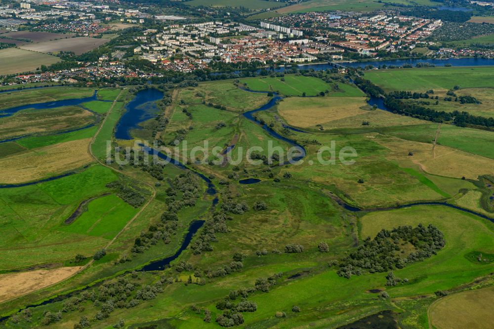 Schwedt/Oder von oben - Grasflächen- Strukturen einer Feld- Landschaft des Nationalpark Unteres Odertal in Schwedt/Oder im Bundesland Brandenburg, Deutschland