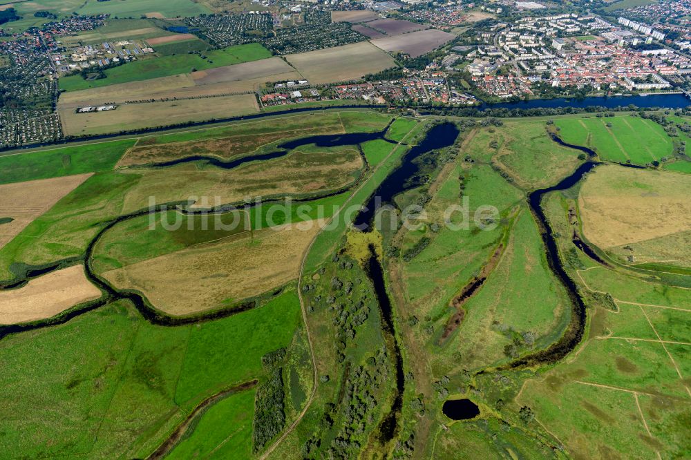 Luftbild Schwedt/Oder - Grasflächen- Strukturen einer Feld- Landschaft des Nationalpark Unteres Odertal in Schwedt/Oder im Bundesland Brandenburg, Deutschland