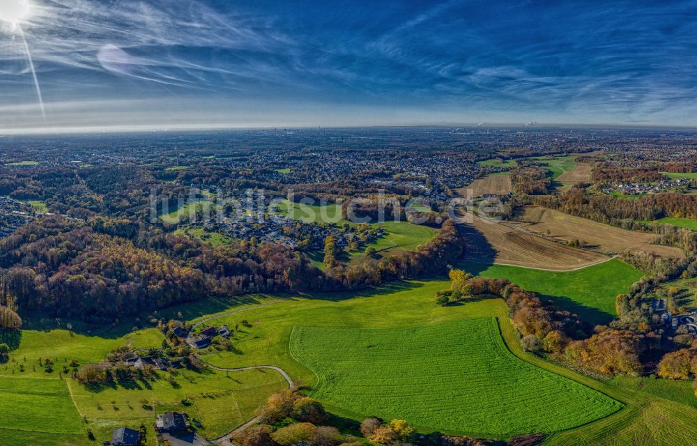 Odenthal aus der Vogelperspektive: Grasflächen- Strukturen einer Feld- Landschaft in Odenthal im Bundesland Nordrhein-Westfalen, Deutschland