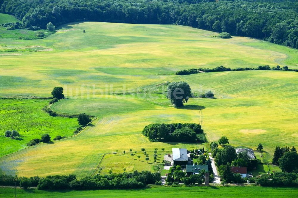 Oderberg aus der Vogelperspektive: Grasflächen- Strukturen einer Feld- Landschaft in Oderberg im Bundesland Brandenburg, Deutschland