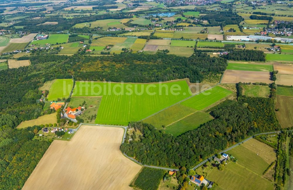 Luftbild Hamm - Grasflächen- Strukturen einer Feld- Landschaft im Ortsteil Norddinker in Hamm im Bundesland Nordrhein-Westfalen, Deutschland