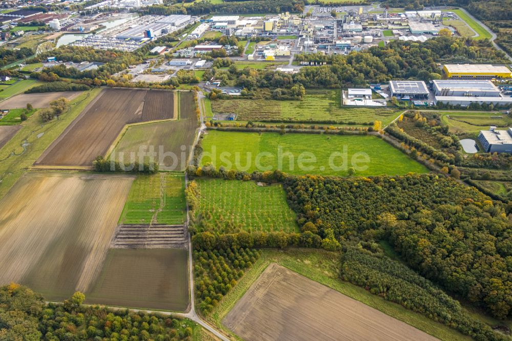 Luftaufnahme Hamm - Grasflächen- Strukturen einer Feld- Landschaft im Ortsteil Norddinker in Hamm im Bundesland Nordrhein-Westfalen, Deutschland