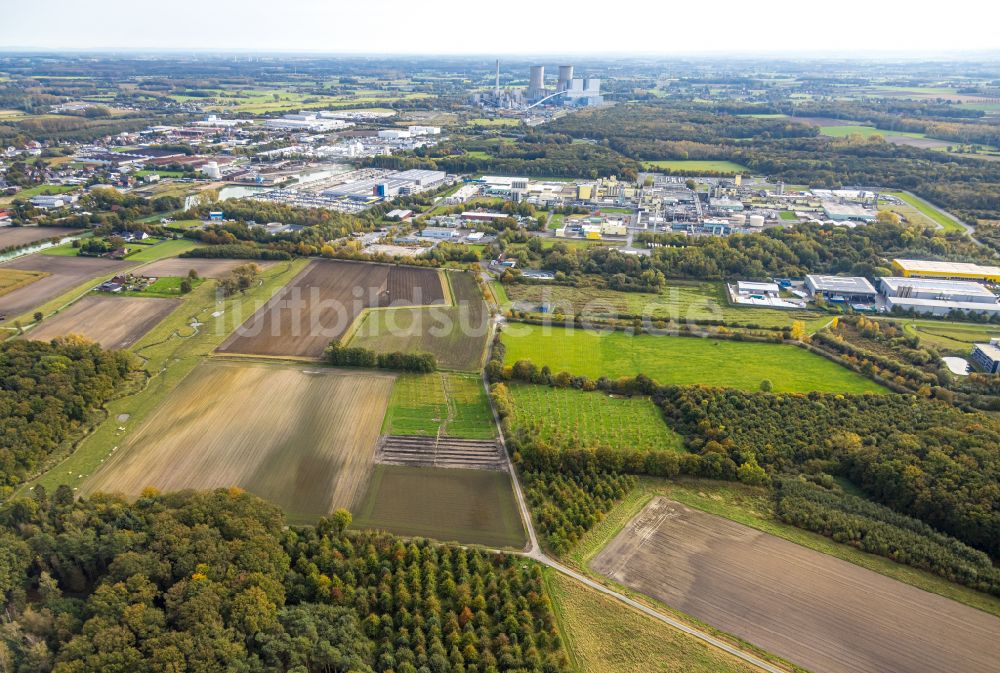 Hamm aus der Vogelperspektive: Grasflächen- Strukturen einer Feld- Landschaft im Ortsteil Norddinker in Hamm im Bundesland Nordrhein-Westfalen, Deutschland