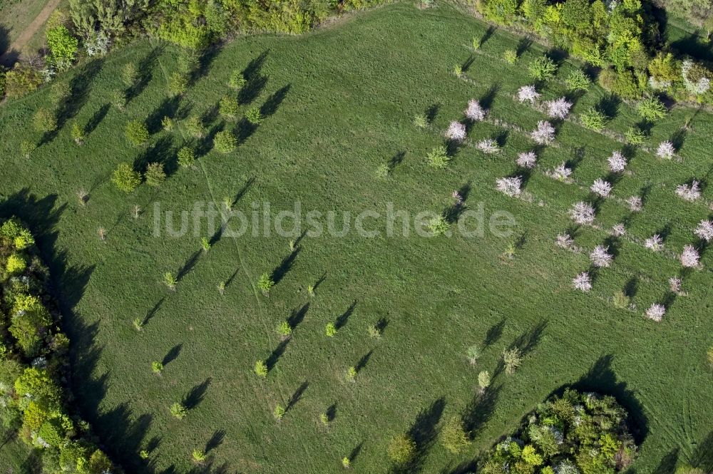 Luftaufnahme Erfurt - Grasflächen- Strukturen einer Feld- Landschaft an der Rudolstädter Straße - Eisenberger Straße in Erfurt im Bundesland Thüringen, Deutschland