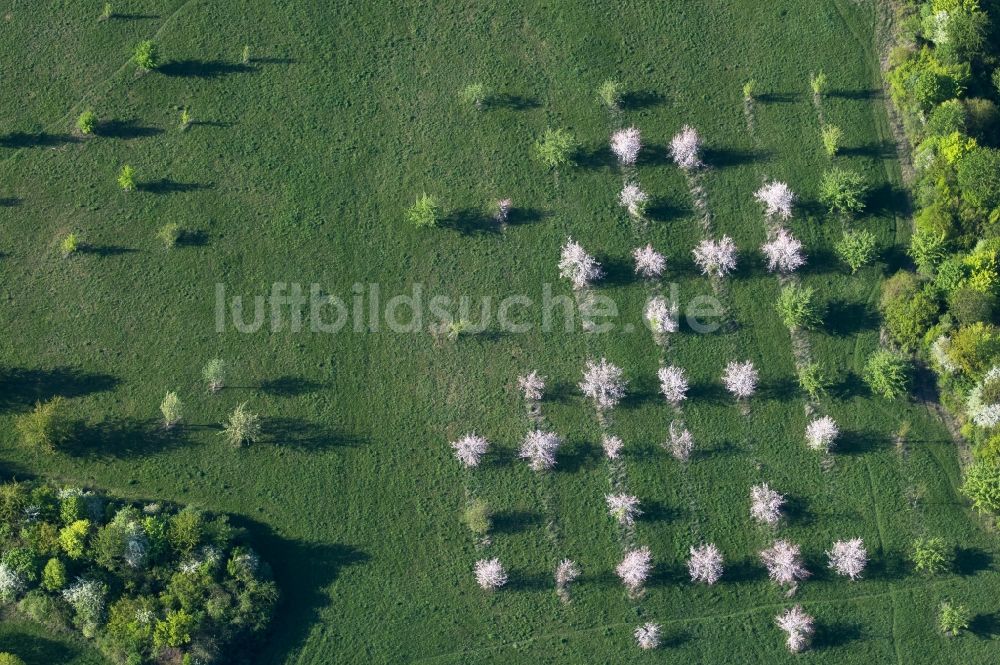 Erfurt von oben - Grasflächen- Strukturen einer Feld- Landschaft an der Rudolstädter Straße - Eisenberger Straße in Erfurt im Bundesland Thüringen, Deutschland