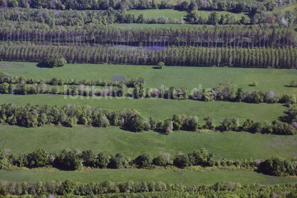 Saillans aus der Vogelperspektive: Grasflächen- Strukturen einer Feld- Landschaft in Saillans in Aquitaine Limousin Poitou-Charentes, Frankreich