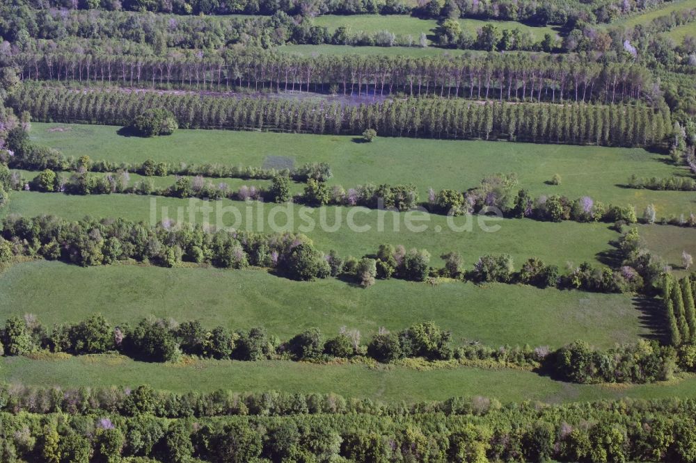 Luftbild Saillans - Grasflächen- Strukturen einer Feld- Landschaft in Saillans in Aquitaine Limousin Poitou-Charentes, Frankreich