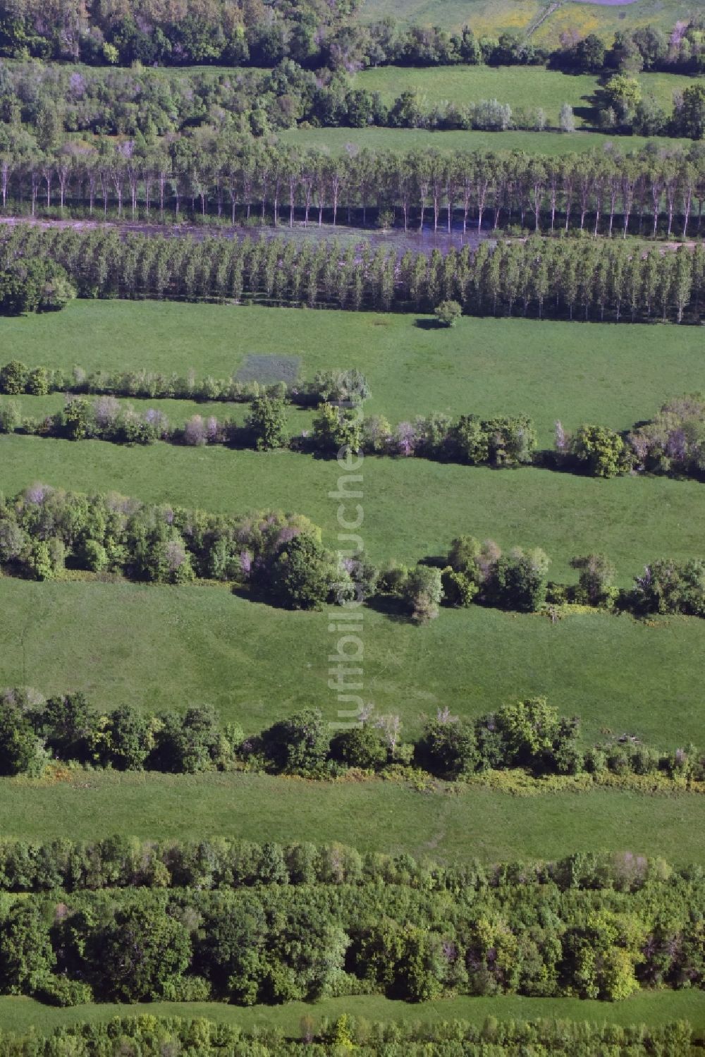 Luftaufnahme Saillans - Grasflächen- Strukturen einer Feld- Landschaft in Saillans in Aquitaine Limousin Poitou-Charentes, Frankreich