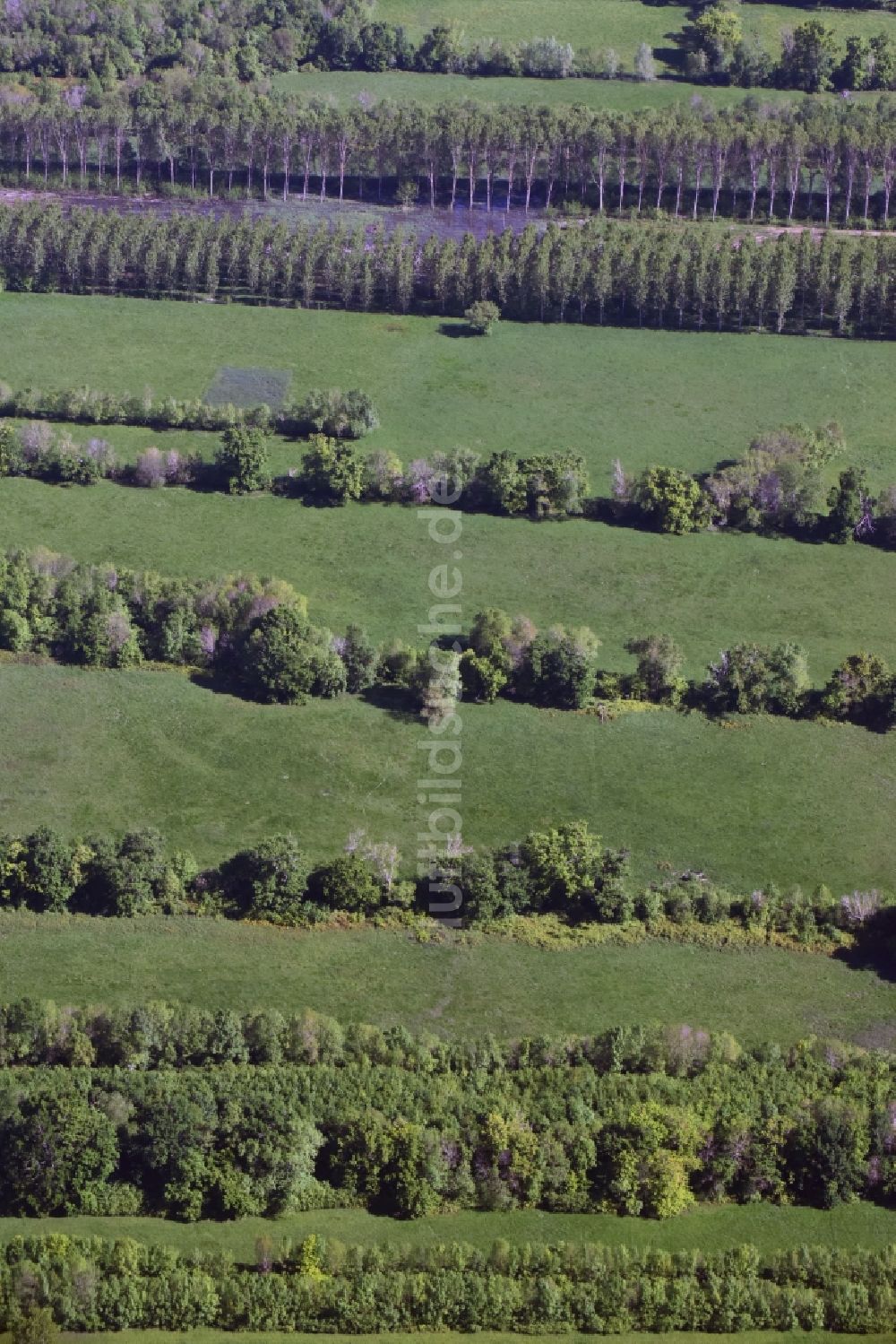 Saillans von oben - Grasflächen- Strukturen einer Feld- Landschaft in Saillans in Aquitaine Limousin Poitou-Charentes, Frankreich