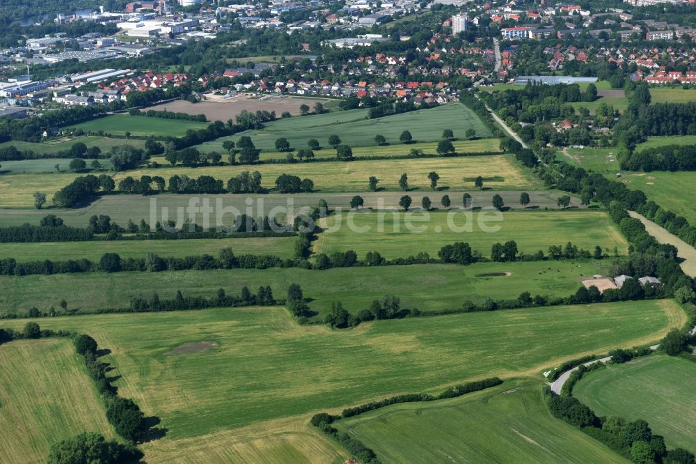 Luftaufnahme Sankt Jürgen - Grasflächen- Strukturen einer Feld- Landschaft in Sankt Jürgen im Bundesland Schleswig-Holstein