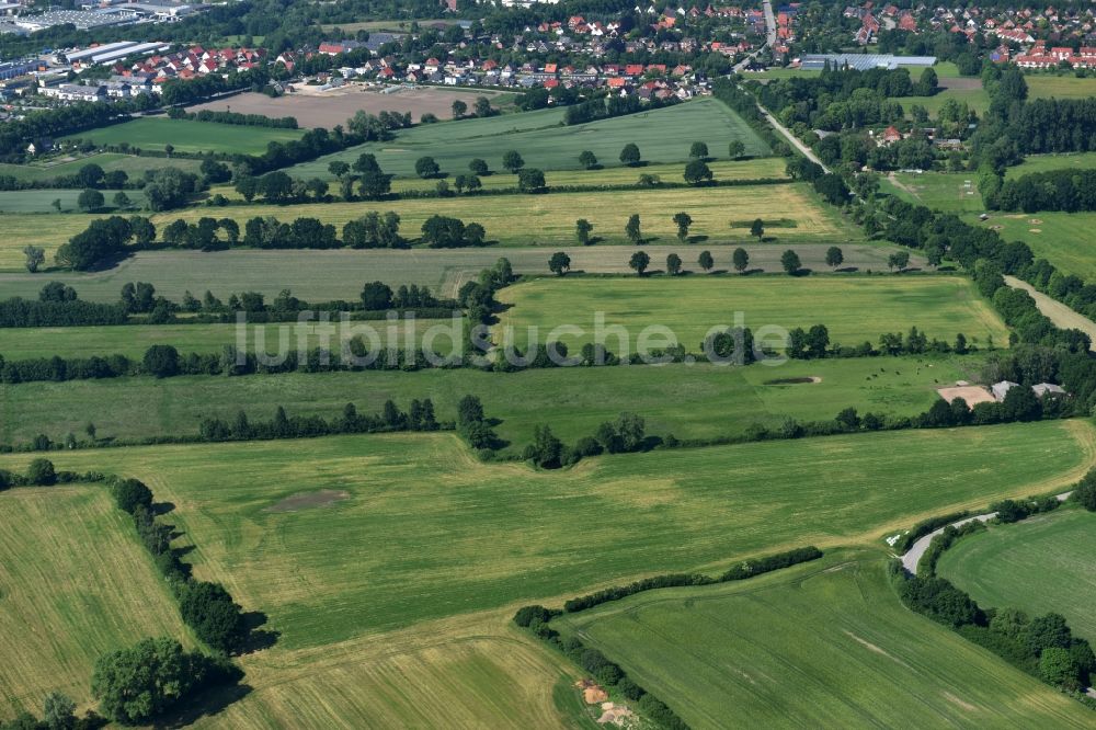 Sankt Jürgen von oben - Grasflächen- Strukturen einer Feld- Landschaft in Sankt Jürgen im Bundesland Schleswig-Holstein