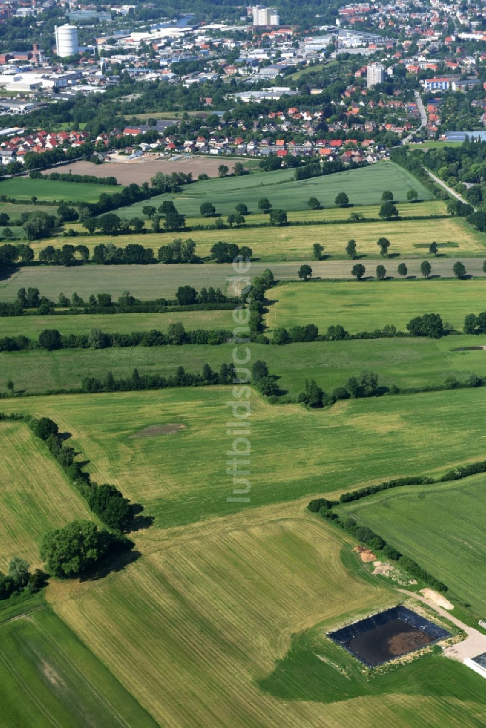 Sankt Jürgen aus der Vogelperspektive: Grasflächen- Strukturen einer Feld- Landschaft in Sankt Jürgen im Bundesland Schleswig-Holstein