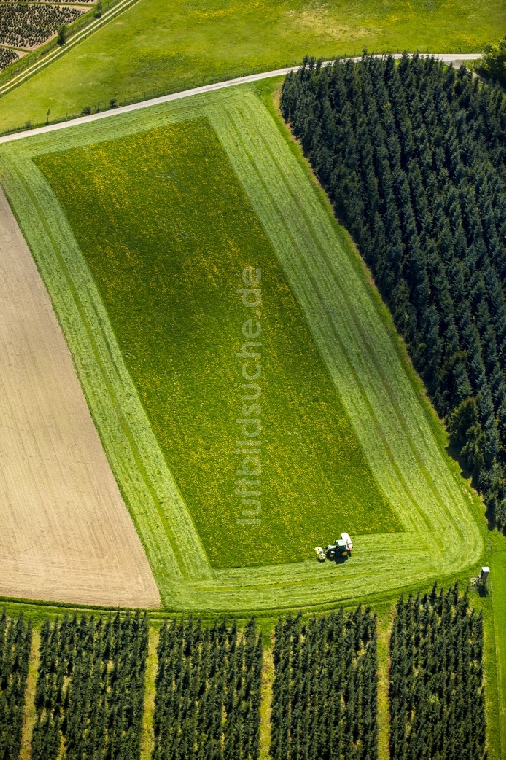 Schmallenberg aus der Vogelperspektive: Grasflächen- Strukturen einer Feld- Landschaft in Schmallenberg im Bundesland Nordrhein-Westfalen