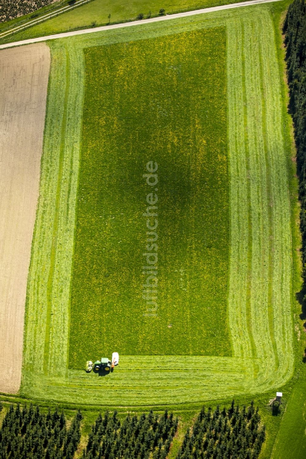 Luftbild Schmallenberg - Grasflächen- Strukturen einer Feld- Landschaft in Schmallenberg im Bundesland Nordrhein-Westfalen