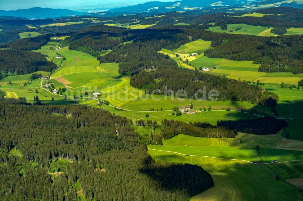 Luftaufnahme Eisenbach (Hochschwarzwald) - Grasflächen- Strukturen einer Feld- Landschaft Im Schwarzwald in Eisenbach (Hochschwarzwald) im Bundesland Baden-Württemberg, Deutschland