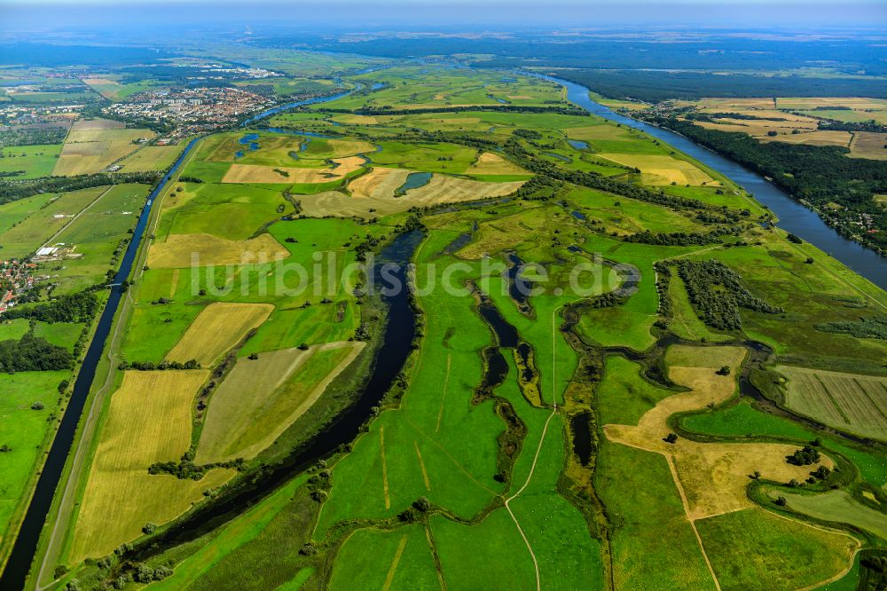 Schwedt/Oder von oben - Grasflächen- Strukturen einer Feld- Landschaft in Schwedt/Oder im Bundesland Brandenburg, Deutschland