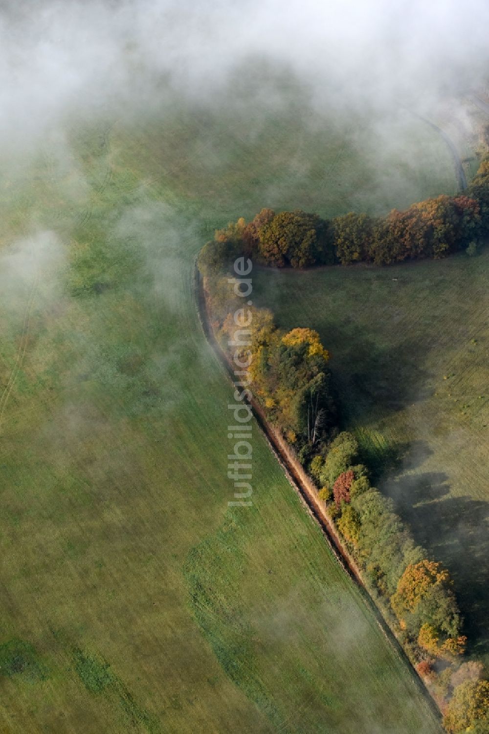 Luftaufnahme Spreenhagen - Grasflächen- Strukturen einer Feld- Landschaft in Spreenhagen im Bundesland Brandenburg