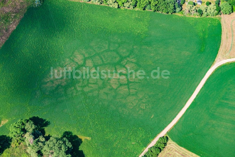 Luftaufnahme Meißen - Grasflächen- Strukturen einer Feld- Landschaft mit Strukturen im Ortsteil Nassau in Meißen im Bundesland Sachsen, Deutschland