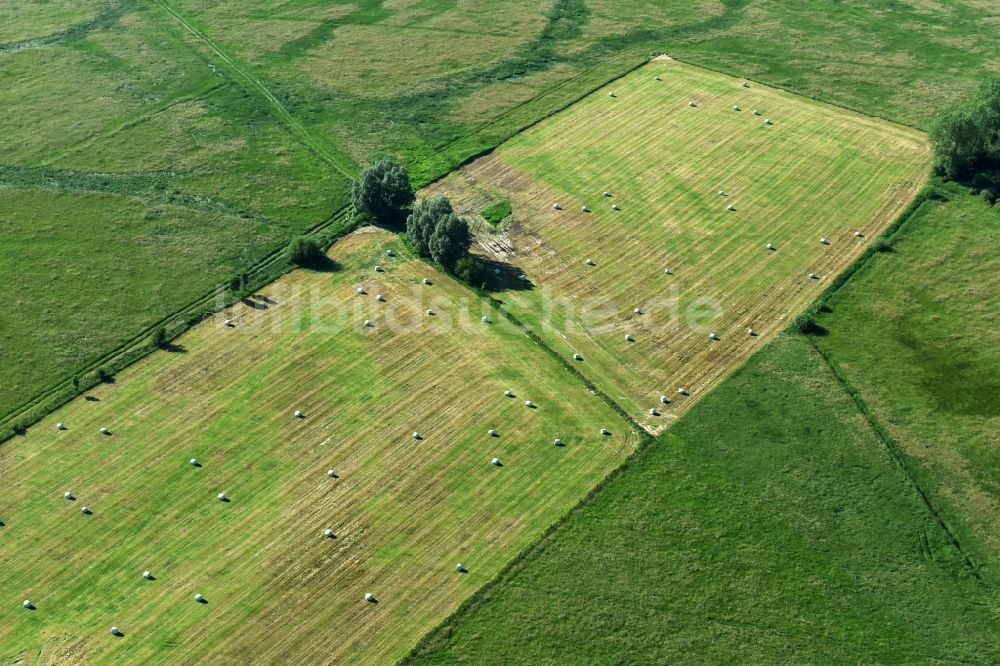 Teldau von oben - Grasflächen- Strukturen einer Feld- Landschaft in Teldau im Bundesland Mecklenburg-Vorpommern