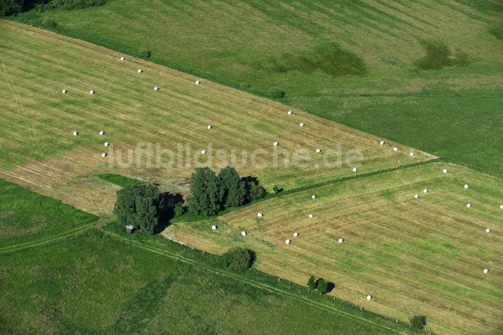 Luftbild Teldau - Grasflächen- Strukturen einer Feld- Landschaft in Teldau im Bundesland Mecklenburg-Vorpommern