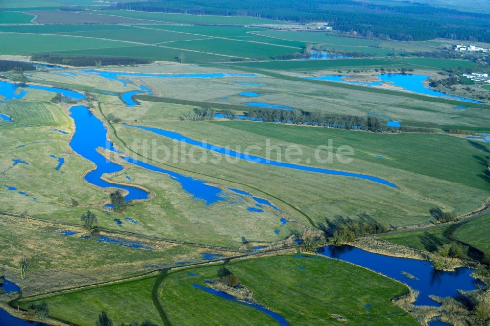 Tangermünde aus der Vogelperspektive: Grasflächen- Strukturen einer Feld- Landschaft am Ufer der Elbe in Tangermünde im Bundesland Sachsen-Anhalt, Deutschland