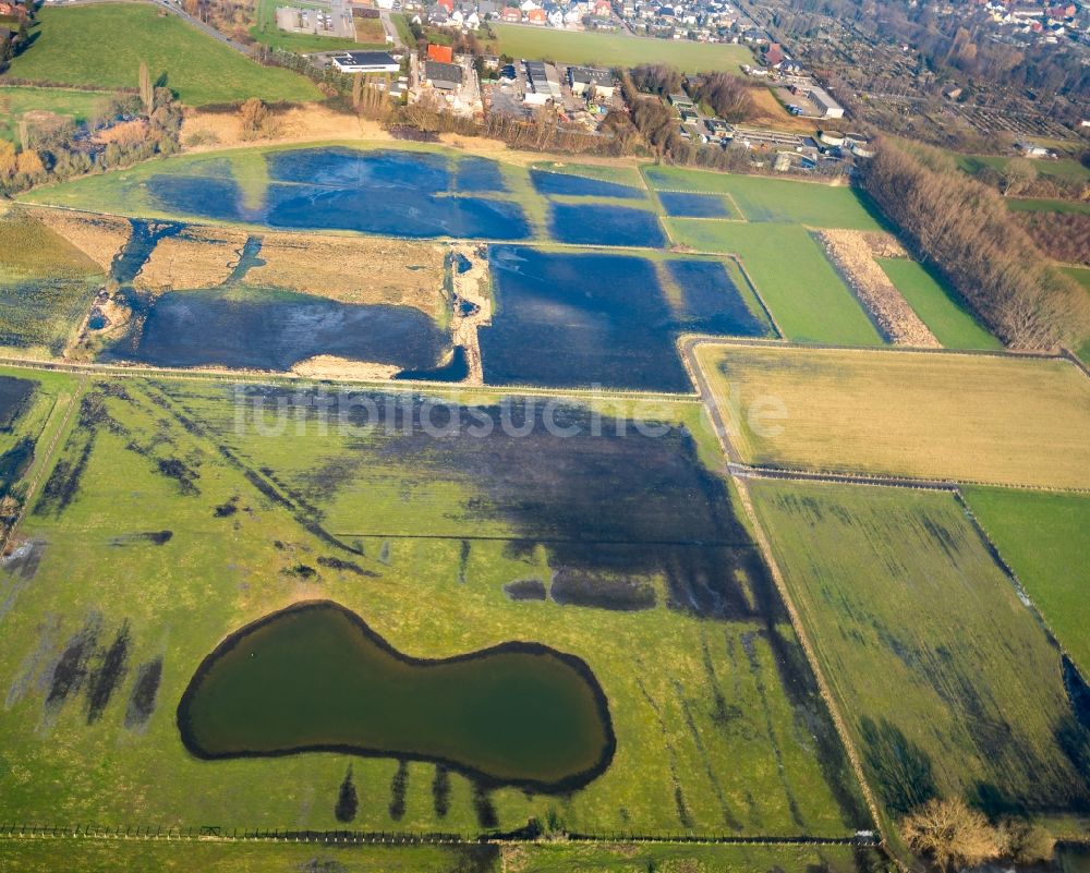 Luftbild Werne - Grasflächen- Strukturen einer Feld- Landschaft am Ufer der Lippe in Werne im Bundesland Nordrhein-Westfalen, Deutschland