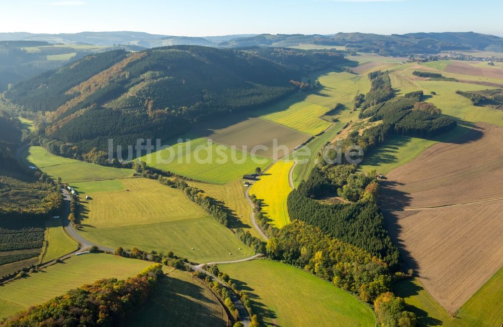 Visbeck aus der Vogelperspektive: Grasflächen- Strukturen einer Feld- Landschaft in Visbeck im Bundesland Nordrhein-Westfalen