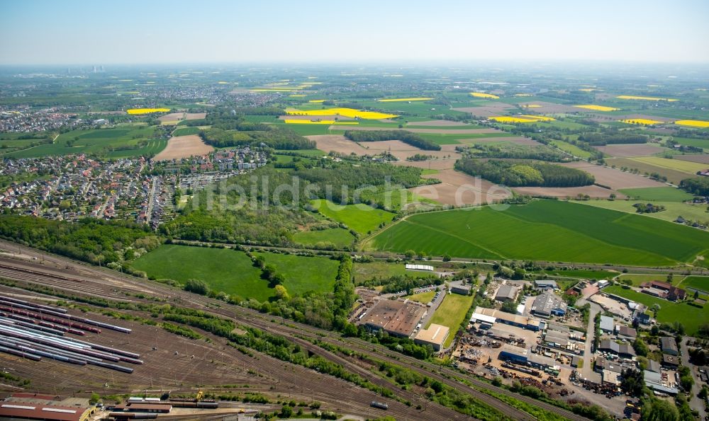 Hamm von oben - Grasflächen- Strukturen einer Feld- Landschaft mit Wald am Stadtrand von Hamm im Bundesland Nordrhein-Westfalen