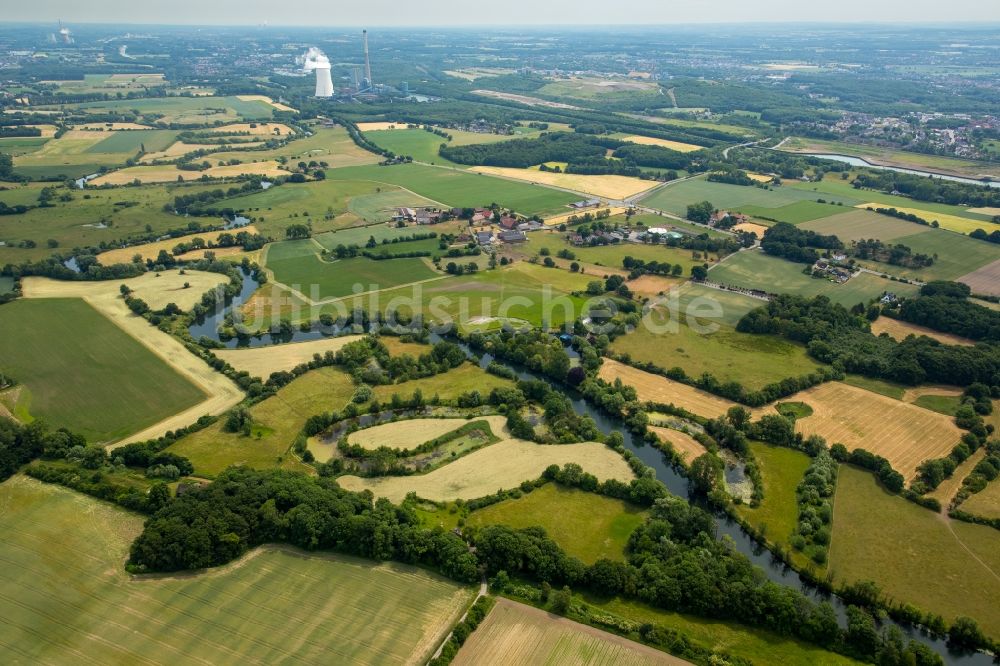 Werne aus der Vogelperspektive: Grasflächen- Strukturen einer Feld- Landschaft in Werne im Bundesland Nordrhein-Westfalen