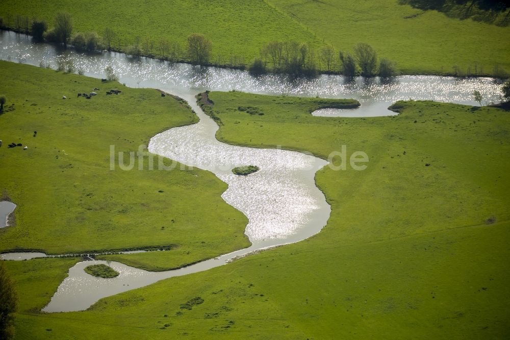 Hamm aus der Vogelperspektive: Grasflächen- Strukturen einer Feld- Landschaft in Werne im Bundesland Nordrhein-Westfalen