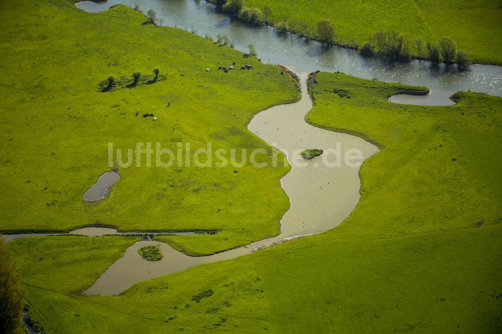 Luftbild Hamm - Grasflächen- Strukturen einer Feld- Landschaft in Werne im Bundesland Nordrhein-Westfalen