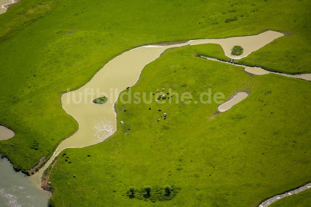 Hamm von oben - Grasflächen- Strukturen einer Feld- Landschaft in Werne im Bundesland Nordrhein-Westfalen